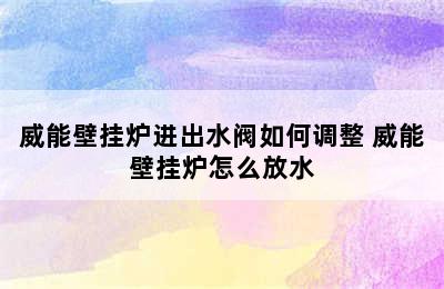 威能壁挂炉进出水阀如何调整 威能壁挂炉怎么放水